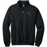 Biggby Bandits NuBlend 1/4-Zip Cadet Collar Sweatshirt